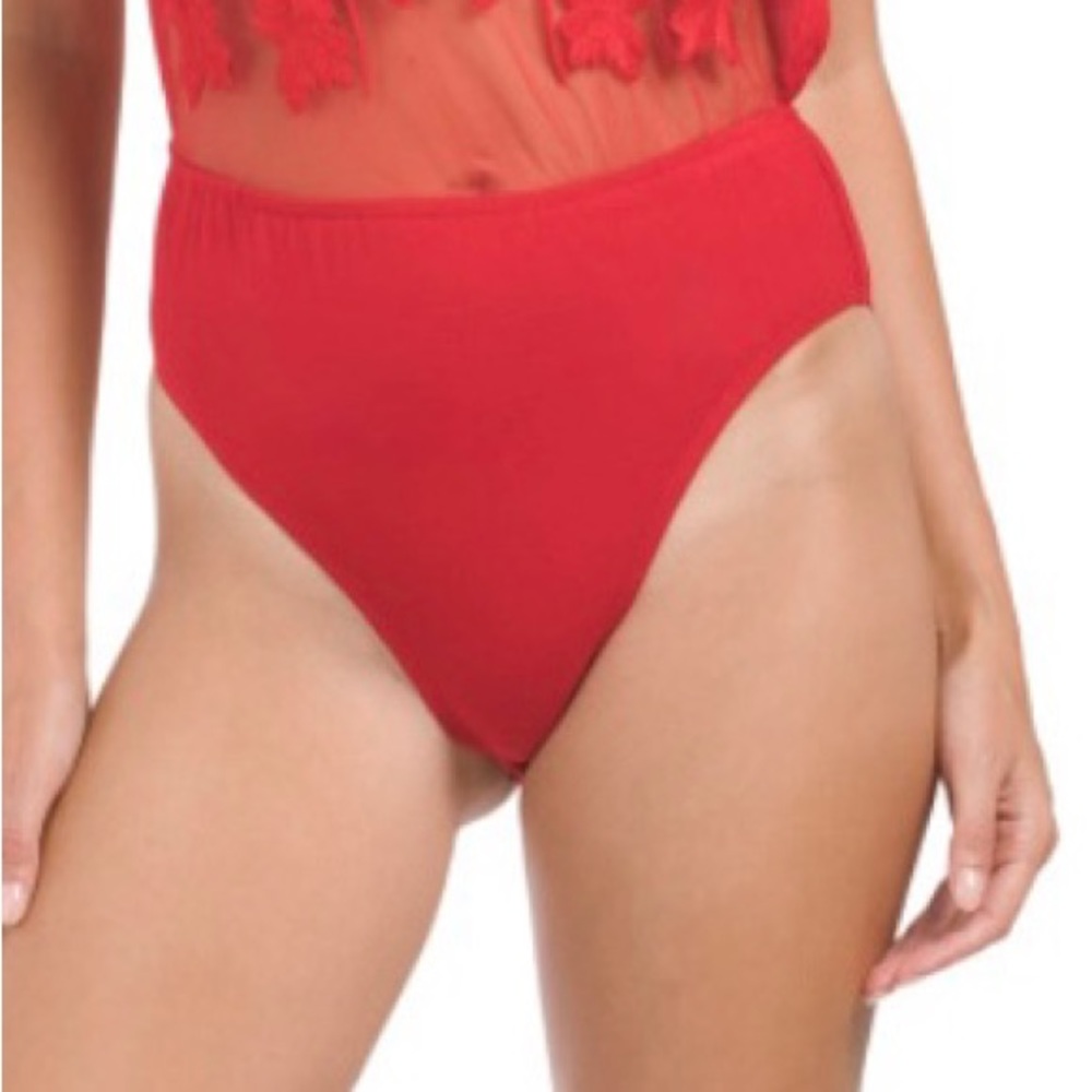 Band of the Free Lace Bodysuit - Picture 3 of 7